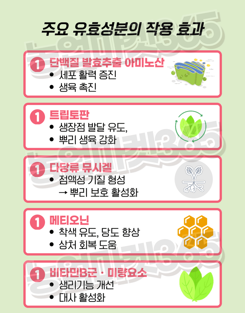 농업마켓365님의 장터 판매 상품 [융전 빠삐용 액제 11L(12kg) 2통 고함량 단백질 아미노산 영양제 새뿌리발달 생육촉진 맛·당도 향상] 첨부 사진