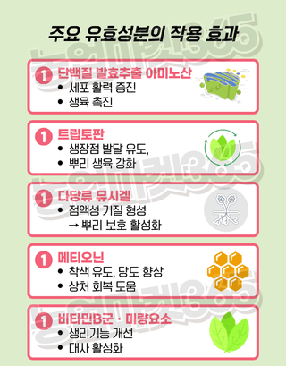 농업마켓365님의 작성글 사진