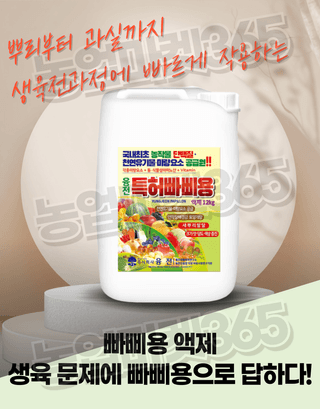 농업마켓365님의 작성글 사진