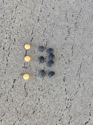 이은호님의 작성글 사진