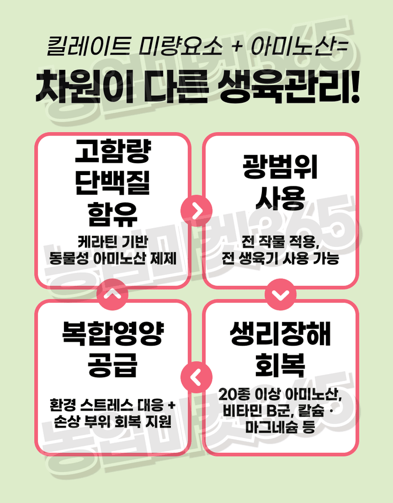 농업마켓365님의 장터 판매 상품 [융전 빠삐용 액제 11L(12kg) 2통 고함량 단백질 아미노산 영양제 새뿌리발달 생육촉진 맛·당도 향상] 첨부 사진