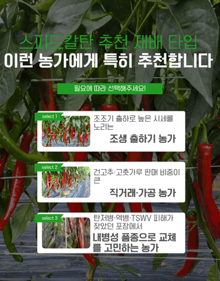 대산농사대장님의 고추 · 품종•종자 작성글 사진