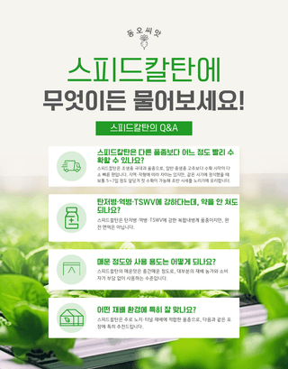 대산농사대장님의 고추 · 품종•종자 작성글 사진