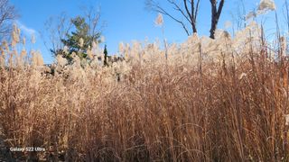 28 268 HQ님의 자유주제 · 자유게시판 작성글 사진