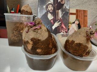 이박농장님의 자유주제 · 자유게시판 작성글 사진