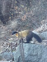 김지훈님의 자유주제·자유게시판 작성글 사진