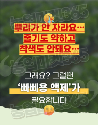 농업마켓365님의 작성글 사진