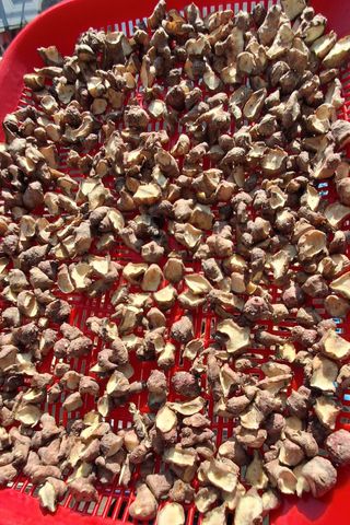 MSG0074님의 자유주제 · 자유게시판 작성글 사진