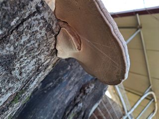 엄순모사선대농장님의 자유주제 · 자유게시판 작성글 사진