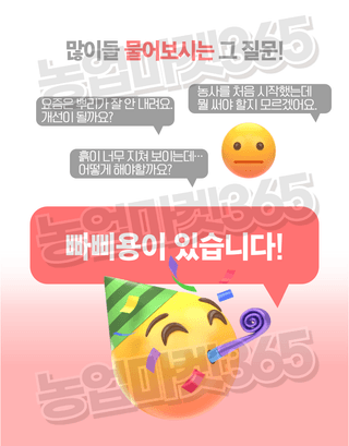 농업마켓365님의 작성글 사진