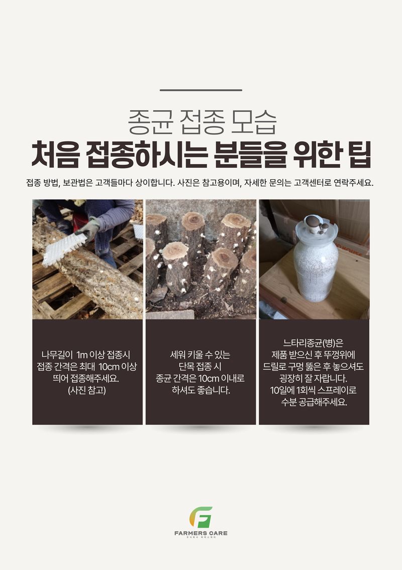 신탄진농약비료마트님의 장터 판매 상품 [표고버섯종균 1판 606알 캡슐종균 총알종균 표고버섯] 첨부 사진