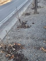 팜모닝 자유주제·자유게시판 게시글 이미지