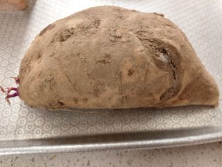 이박농장님의 자유주제 · 자유게시판 작성글 사진