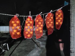 김춘성님의 자유주제 · 자유게시판 작성글 사진