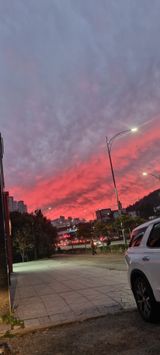 팜모닝 자유주제·자유게시판 게시글 이미지