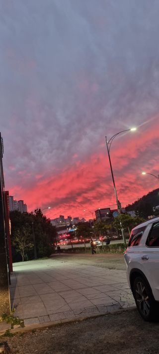 박순덕님의 자유주제·자유게시판 작성글 사진