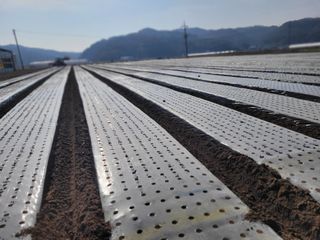 김춘성님의 자유주제 · 자유게시판 작성글 사진