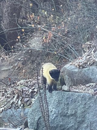 김지훈님의 자유주제 · 자유게시판 작성글 사진