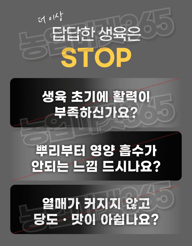 농업마켓365님의 장터 판매 상품 [융전 빠삐용 액제 11L(12kg) 2통 고함량 단백질 아미노산 영양제 새뿌리발달 생육촉진 맛·당도 향상] 첨부 사진