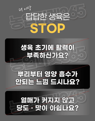 농업마켓365님의 작성글 사진