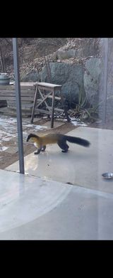 팜모닝 자유주제·자유게시판 게시글 이미지