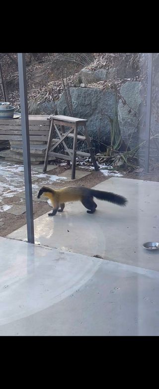 김지훈님의 자유주제·자유게시판 작성글 사진