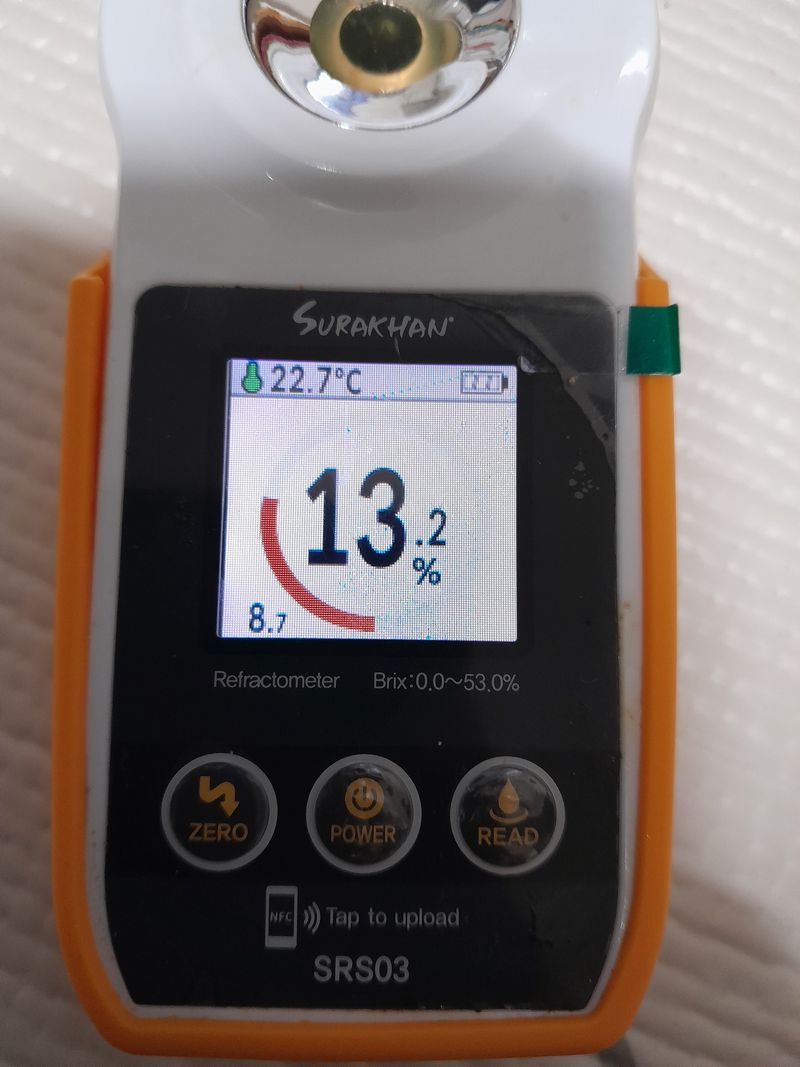 대정골귤꽃농원님의 장터 판매 상품 [대정 고당도 조생귤 5키로] 첨부 사진