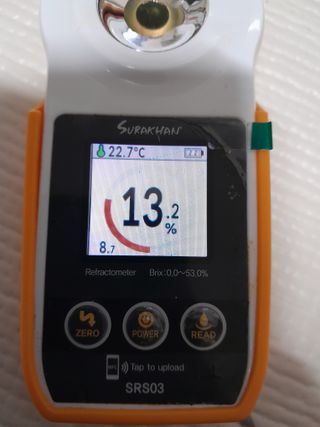 대정골귤꽃농원님의 작성글 사진