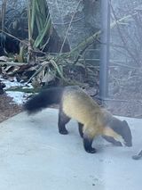 김지훈님의 자유주제·자유게시판 작성글 사진