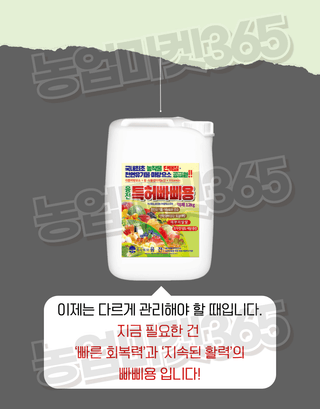 농업마켓365님의 작성글 사진