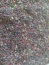 이박농장님의 자유주제·자유게시판 작성글 사진