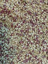 이박농장님의 자유주제·자유게시판 작성글 사진