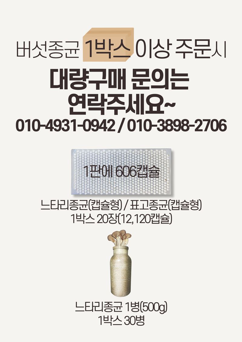 신탄진농약비료마트님의 장터 판매 상품 [표고버섯종균 1판 606알 캡슐종균 총알종균 표고버섯] 첨부 사진