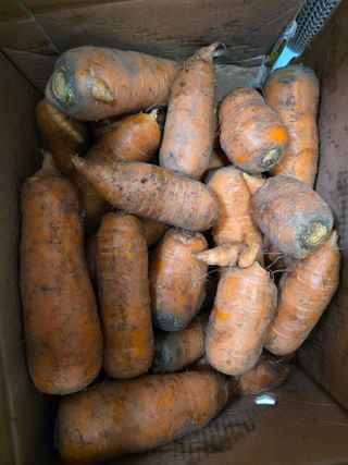 김성환님의 작성글 사진