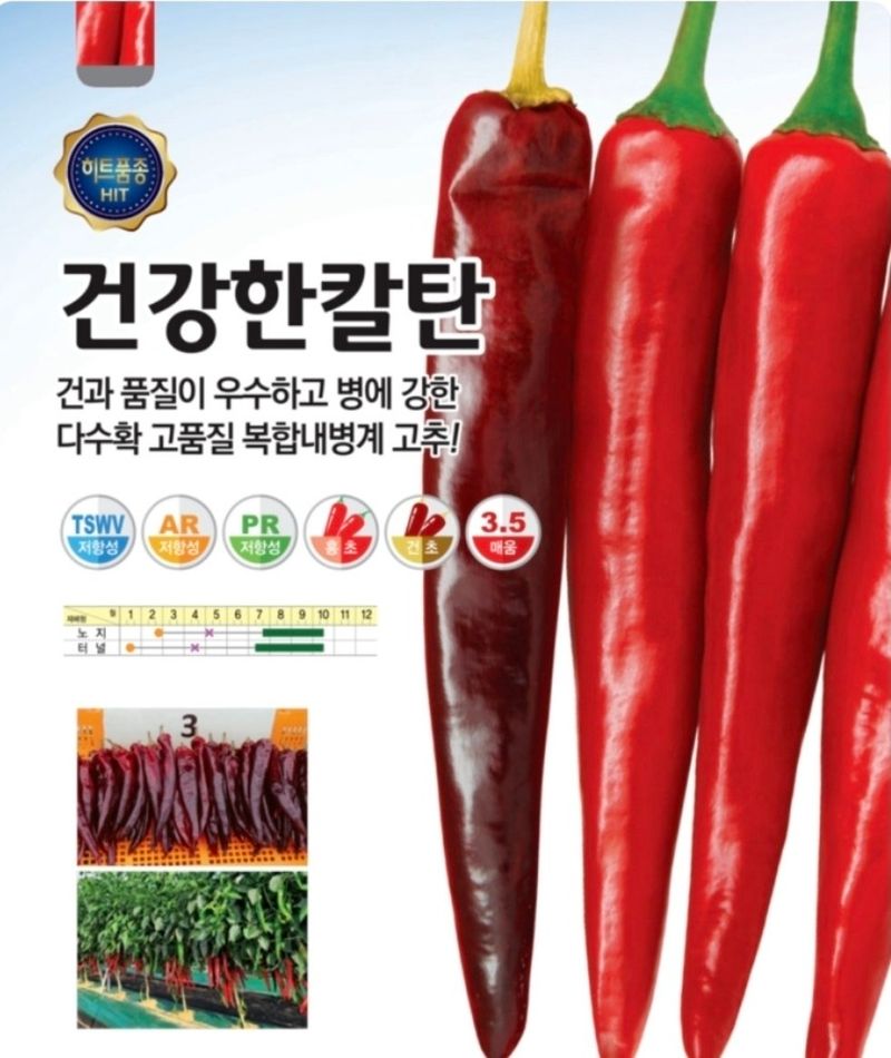 대산농사대장님의 장터 판매 상품 [26년 복합내병계 건강한칼탄1200립] 첨부 사진