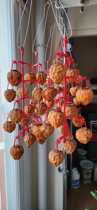 접시꽃님의 자유주제 · 자유게시판 작성글 사진