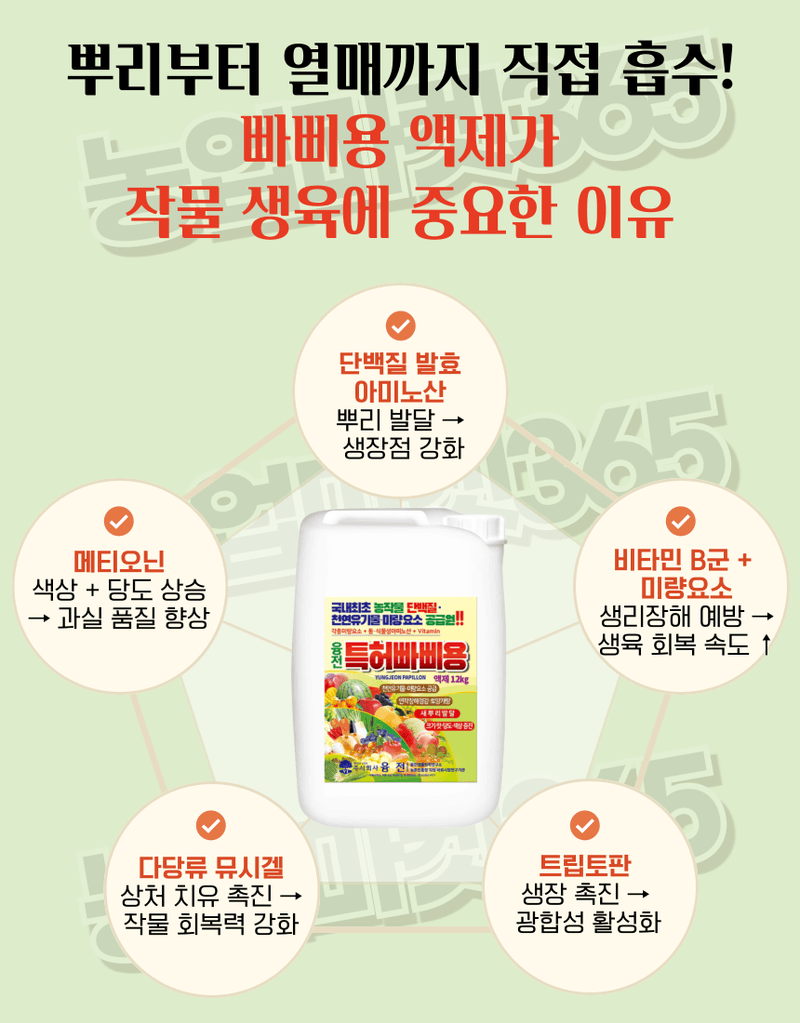 농업마켓365님의 장터 판매 상품 [빠삐용 입제10kg 2포·액제11L 2통 SET 뿌리·토양개량+생육촉진 패키지] 첨부 사진
