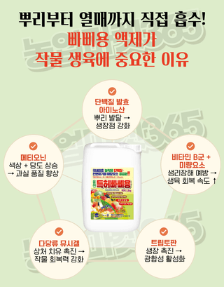 농업마켓365님의 작성글 사진