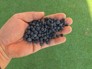 이은호님의 작성글 사진