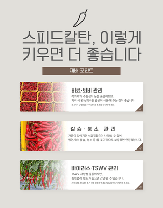 대산농사대장님의 고추 · 품종•종자 작성글 사진