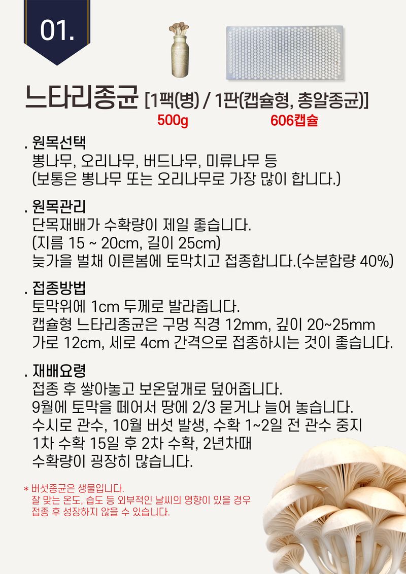 파머스케어님의 장터 판매 상품 [26년 버섯종균 판매 (1월중순부터순차배송)] 첨부 사진