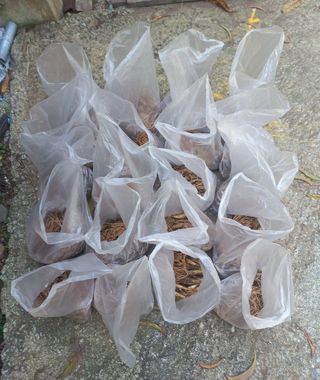 황덕순 님의 자유주제 · 자유게시판 작성글 사진