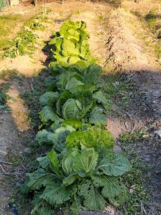 MSG0074님의 자유주제 · 자유게시판 작성글 사진