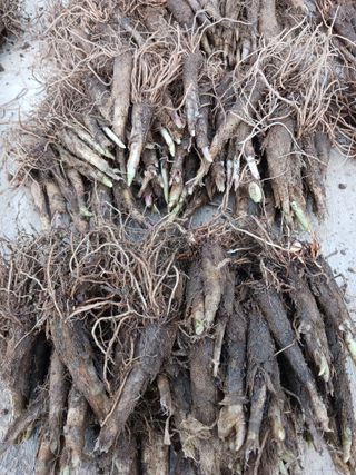 황덕순 님의 자유주제 · 자유게시판 작성글 사진