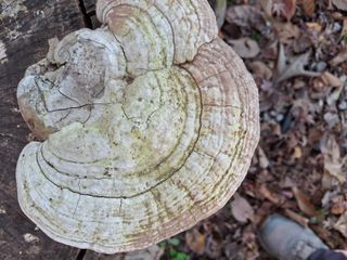 엄순모사선대농장님의 자유주제 · 자유게시판 작성글 사진