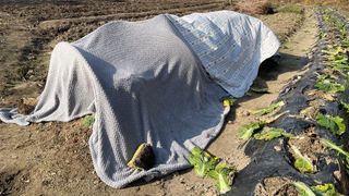 누보농장님의 자유주제 · 자유게시판 작성글 사진