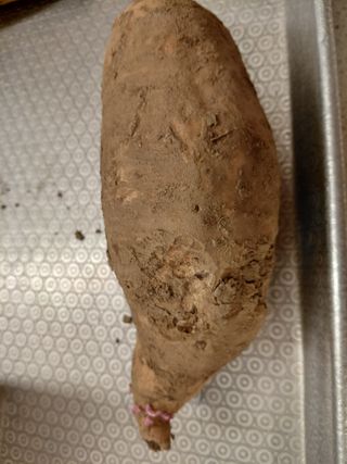 이박농장님의 자유주제 · 자유게시판 작성글 사진