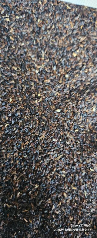 장두원님의 작성글 사진