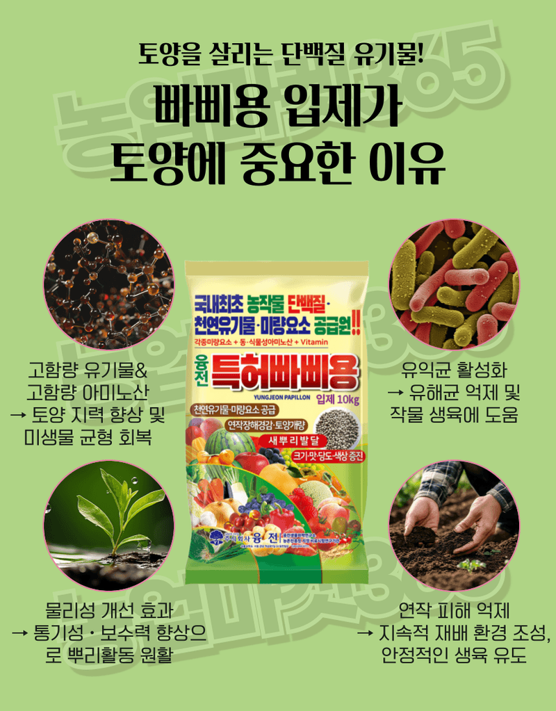 농업마켓365님의 장터 판매 상품 [빠삐용 입제10kg 2포·액제11L 2통 SET 뿌리·토양개량+생육촉진 패키지] 첨부 사진