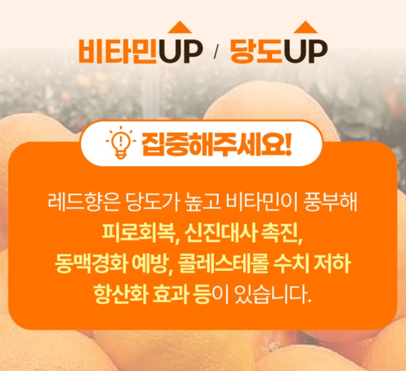 스피드번님의 장터 판매 상품 [제주도 레드향] 첨부 사진